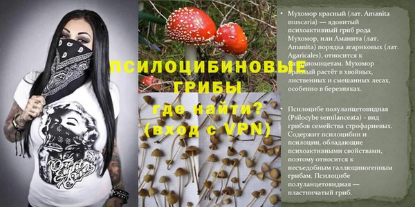 герыч Корсаков