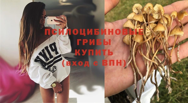 эйфоретик Костерёво