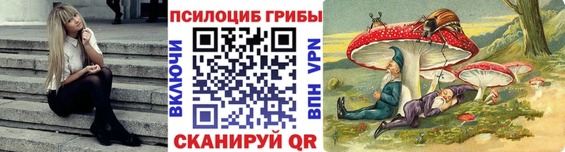 где можно купить наркотик  Салаир  Псилоцибиновые грибы Psilocybine cubensis 